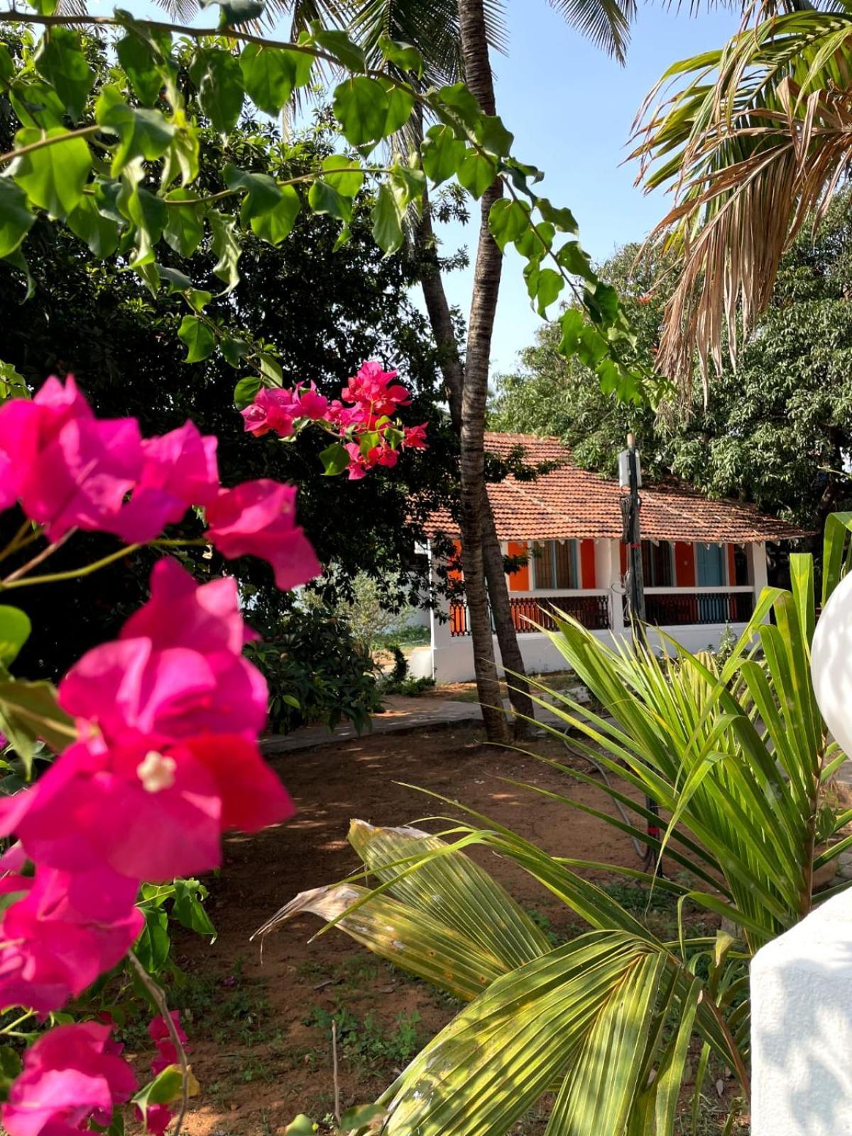 Papilio Beach Front Cottages-Tbv Baga Zewnętrze zdjęcie